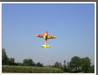 Foto des Albums: Sommerfest 2009