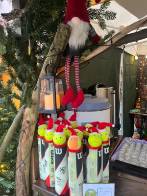Foto des Albums: Zwingenberger Weihnachtsmarkt 2025