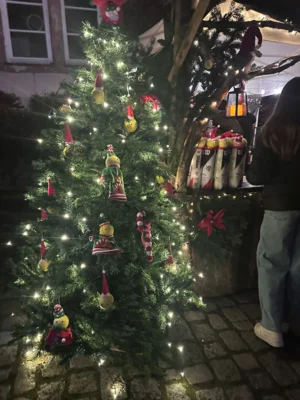 Foto des Albums: Zwingenberger Weihnachtsmarkt 2025