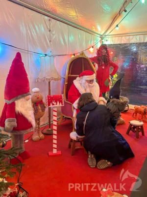 Foto des Albums: Impressionen vom Pritzwalker Weihnachtsmarkt (10.12.2025)