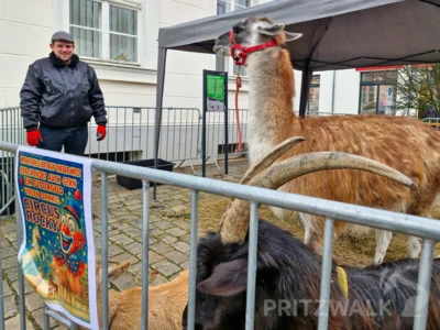 Foto des Albums: Impressionen vom Pritzwalker Weihnachtsmarkt (10.12.2025)