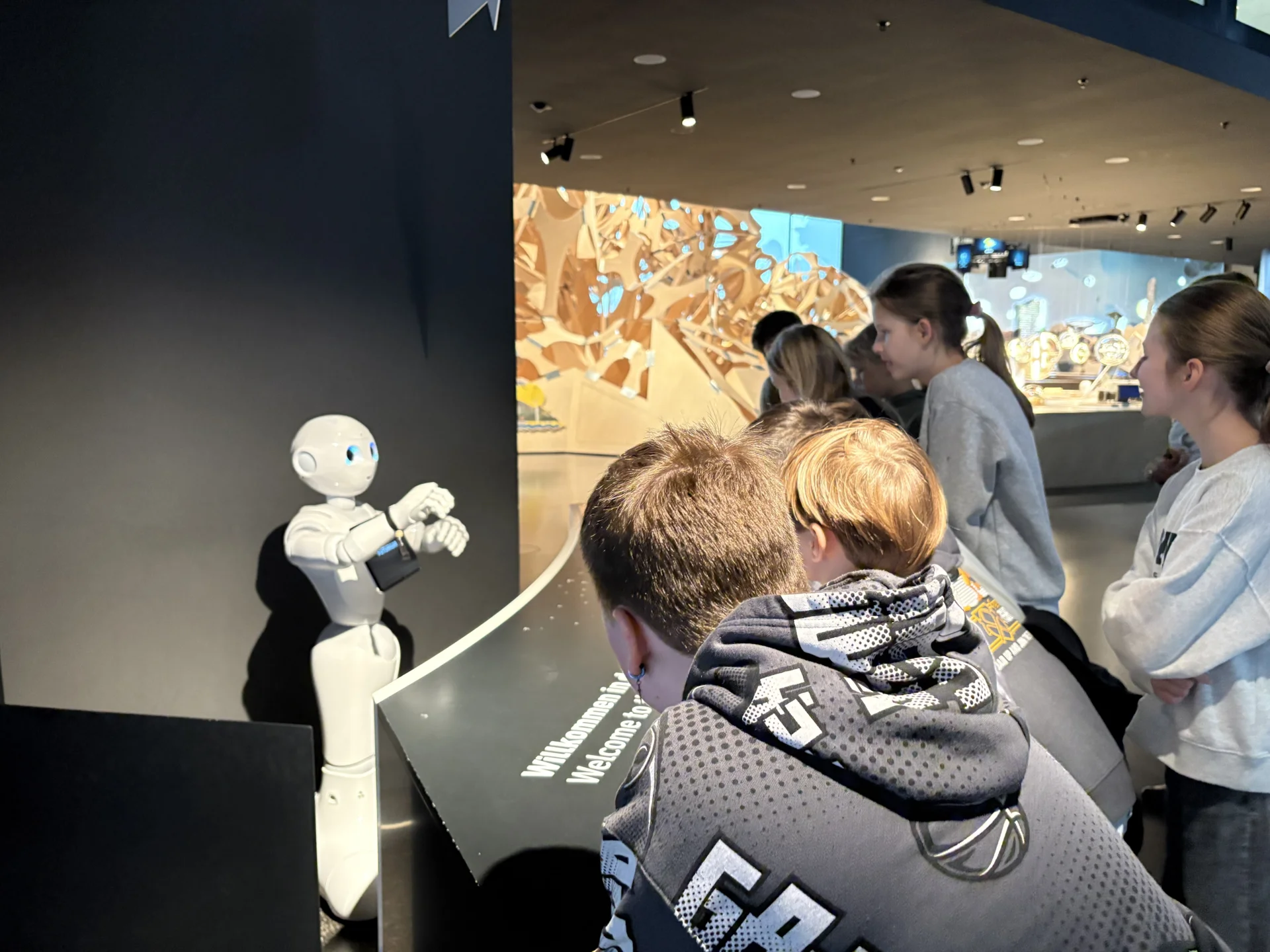 Bild der Galerie