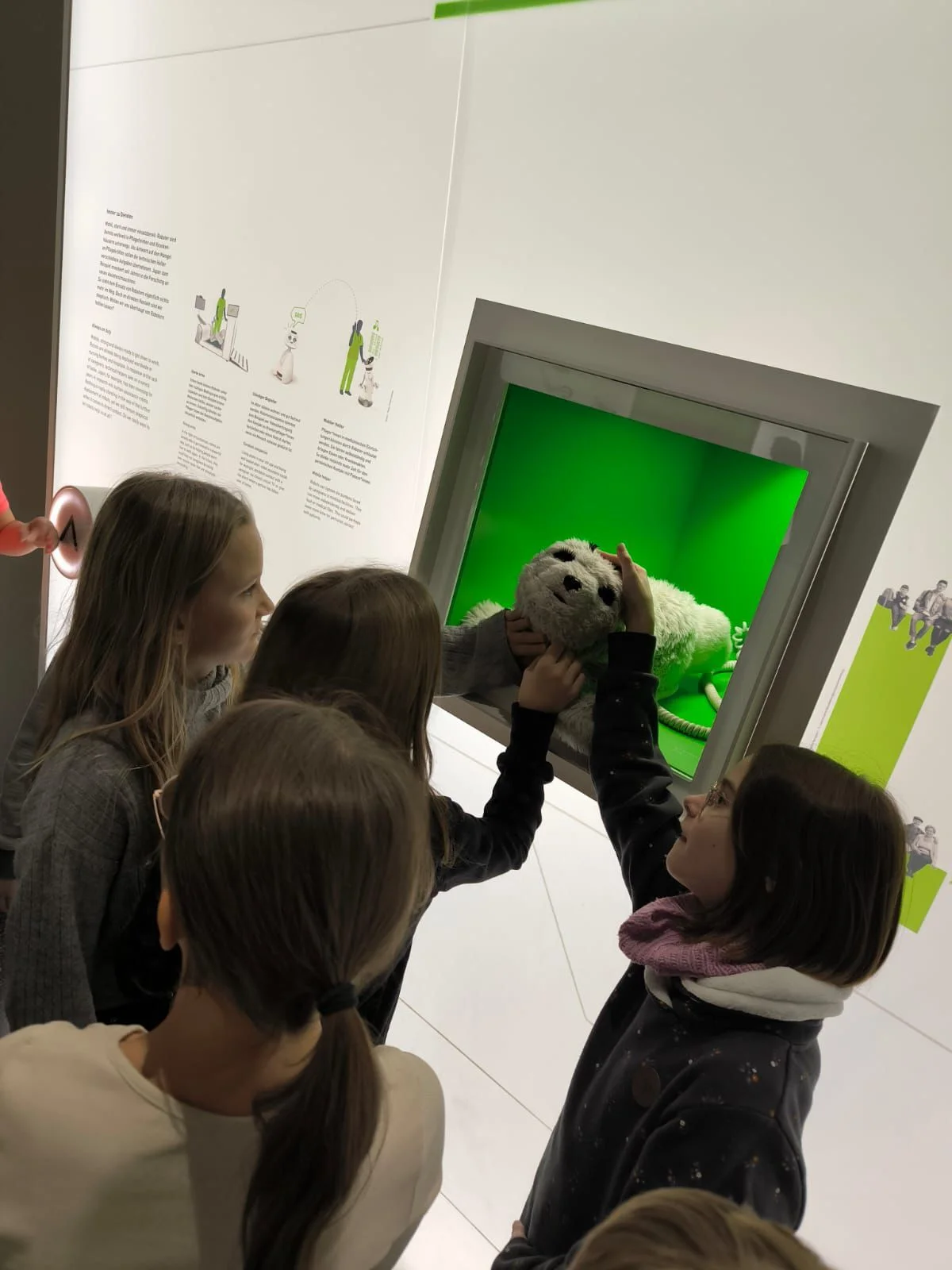 Bild der Galerie