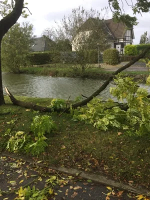 Foto des Albums: Dorfreinigung 2018