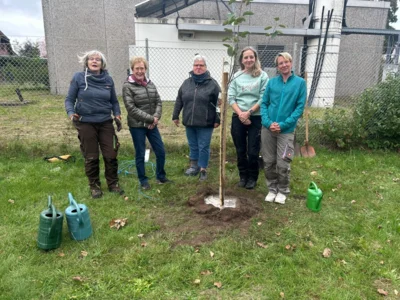 Foto des Albums: Baumpflanz Challenge 2025