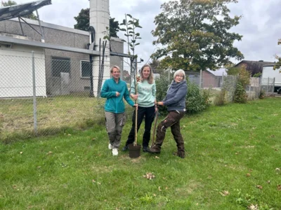 Foto des Albums: Baumpflanz Challenge 2025