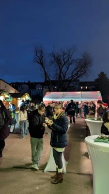 Foto des Albums: Weihnachtsball 2025