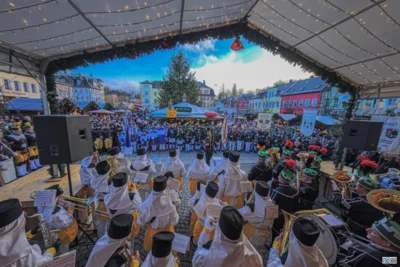 Foto des Albums: Bergparade 2025