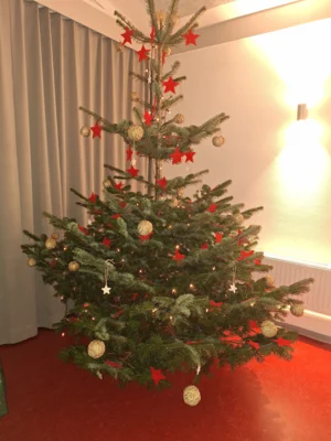 Foto des Albums: Weihnachtsfeier (06.​12.​2025)