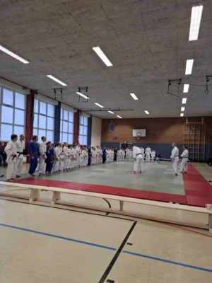 Foto des Albums: Judo-Weihnachtsrandori