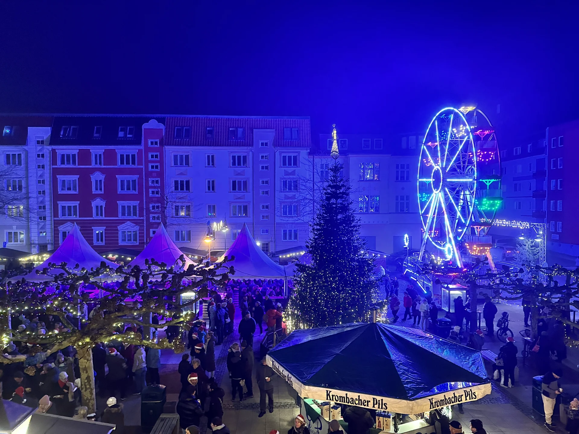 Bild der Galerie