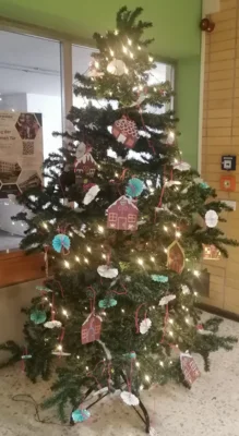 Foto des Albums: Tag der offenen Tür 🎄