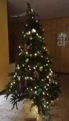 Foto des Albums: Tag der offenen Tür 🎄