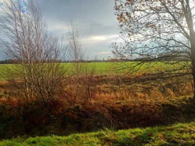 Der Himmel hat Struktur ...  (Bild vergr&ouml;&szlig;ern)