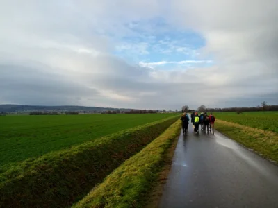 Noch auf dem G&auml;nsefu&szlig;weg  (Bild vergr&ouml;&szlig;ern)
