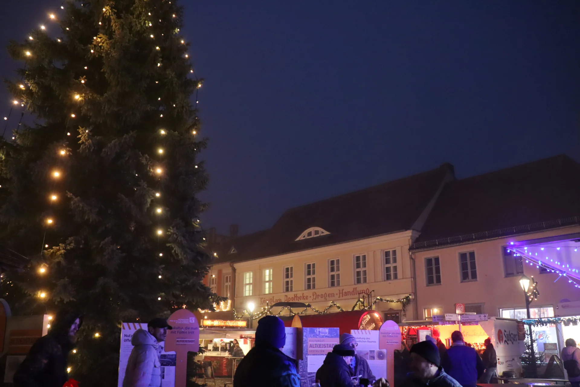 Bild der Galerie