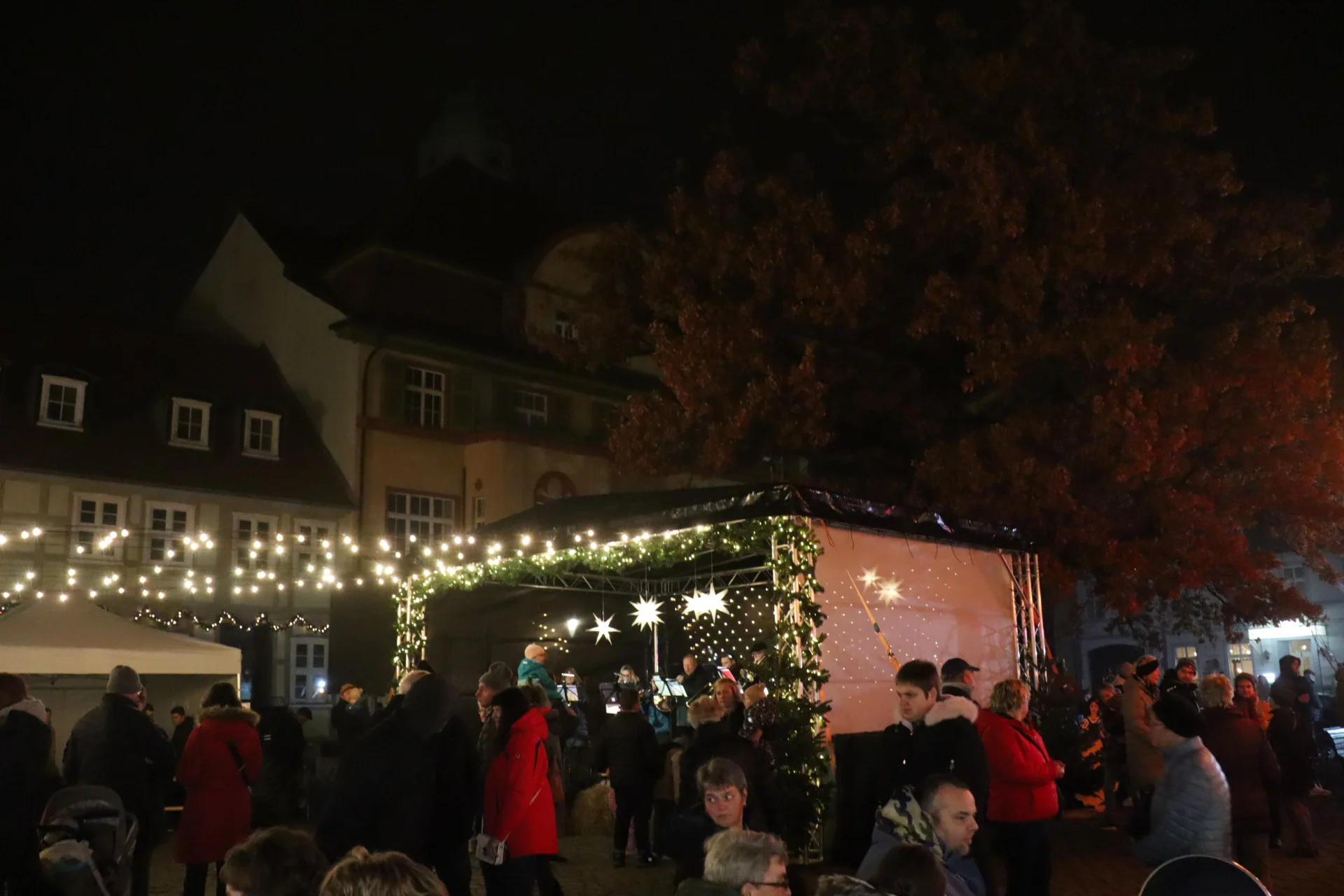 Bild der Galerie