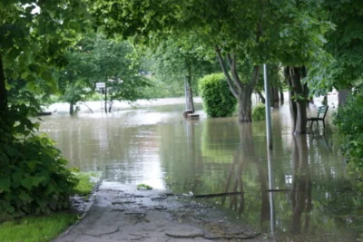 Foto des Albums: Hochwasser 2013