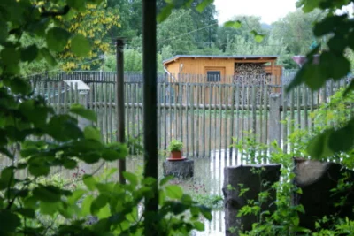 Foto des Albums: Hochwasser 2013