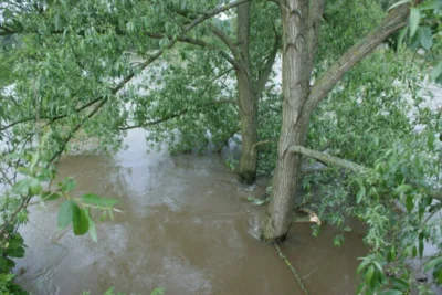 Foto des Albums: Hochwasser 2013