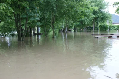 Foto des Albums: Hochwasser 2013