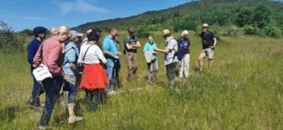 Foto des Albums: Botanische Wanderung am Schießplatz im Juni 2023