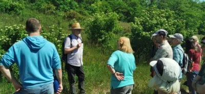Foto des Albums: Botanische Wanderung am Schießplatz im Juni 2023