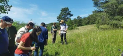 Foto des Albums: Botanische Wanderung am Schießplatz im Juni 2023