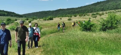 Foto des Albums: Botanische Wanderung am Schießplatz im Juni 2023