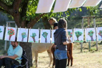Foto des Albums: Apfelfest 2023