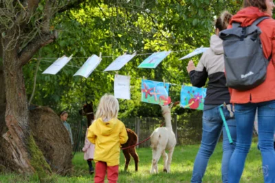 Foto des Albums: Apfelfest 2024