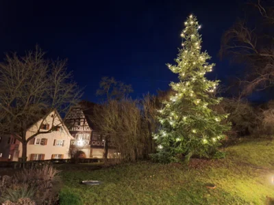 Foto des Albums: Krippenweg 2025