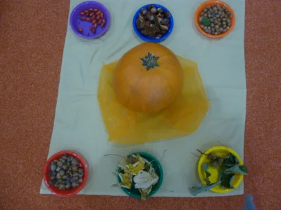 Wir lernten viele Fr&uuml;chte im Herbst kennen.  (Bild vergr&ouml;&szlig;ern)