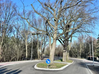 Foto des Albums: Verkehrsfreigabe der Pestalozzistraße