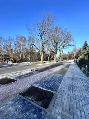 Foto des Albums: Verkehrsfreigabe der Pestalozzistraße