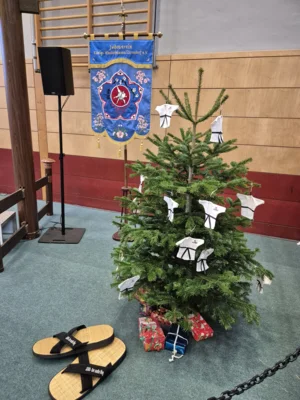 Foto des Albums: 31. Kreispokal-Weihnachtsturnier Königs Wusterhausen