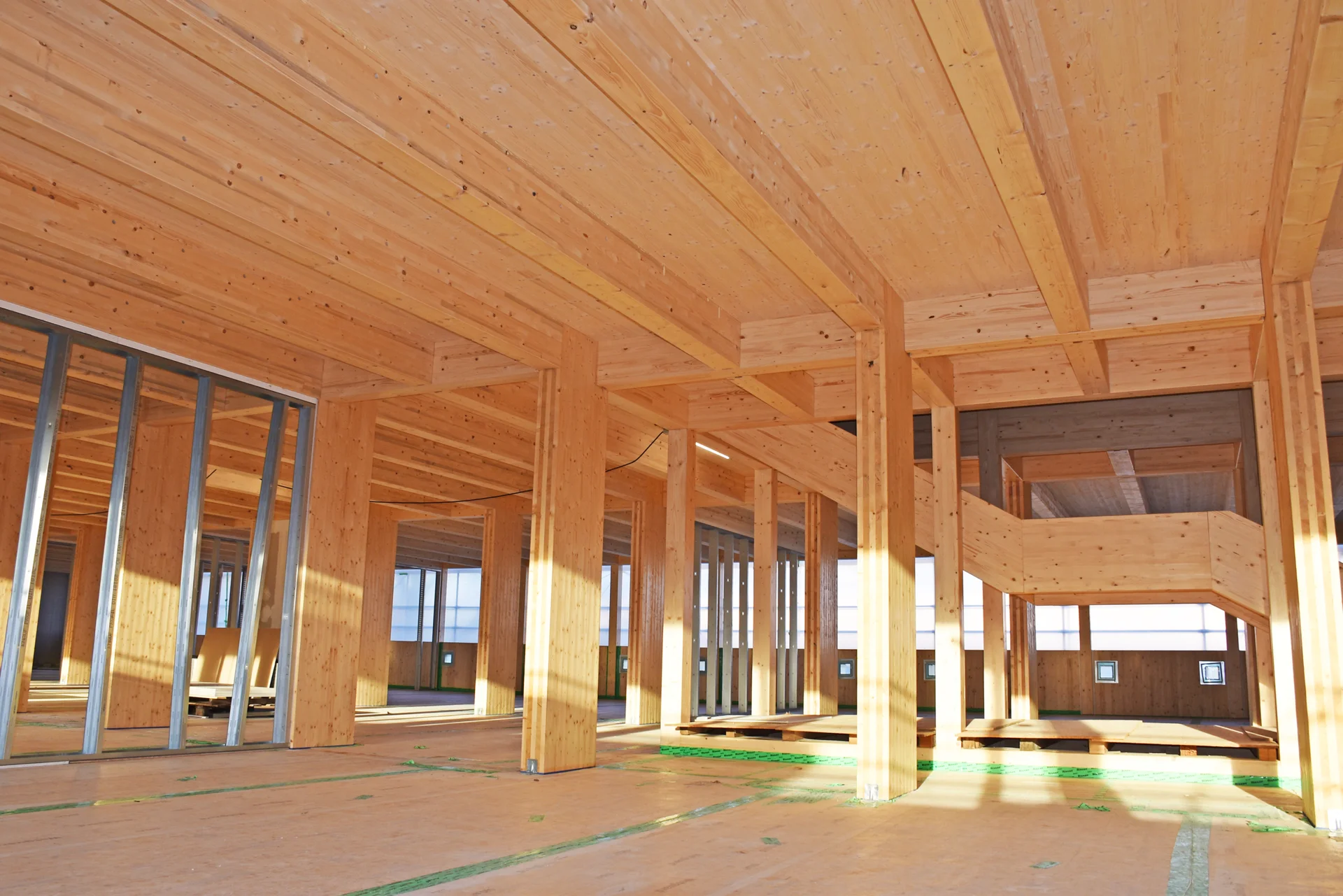 Bild: Foto: Elisabeth Schulte-Kuhnt