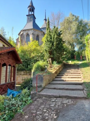 Auch Obstb&auml;ume wurden vom Gras befreit (Foto R Sch&ouml;nherr)  (Bild vergr&ouml;&szlig;ern)