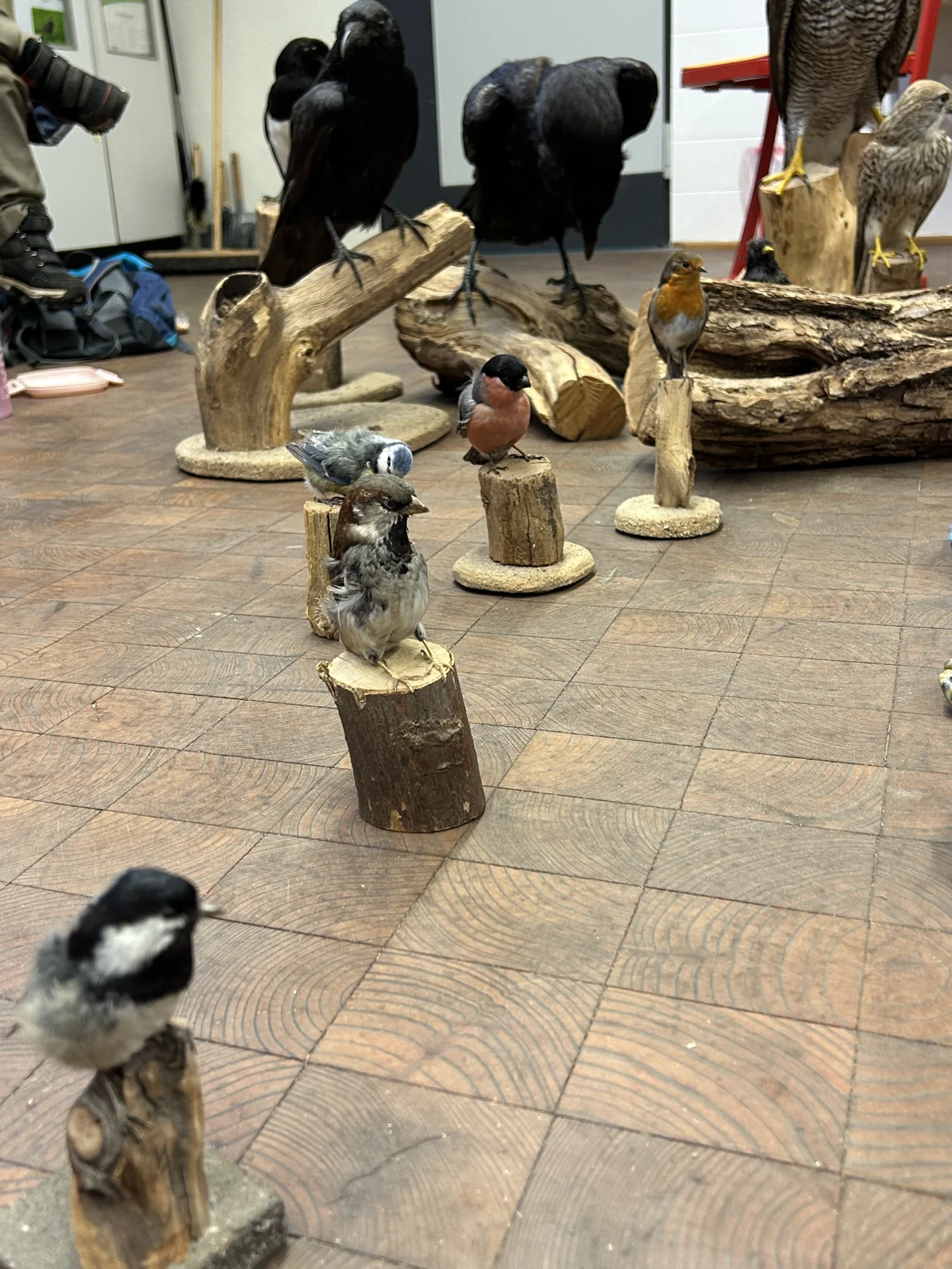 Bild der Galerie