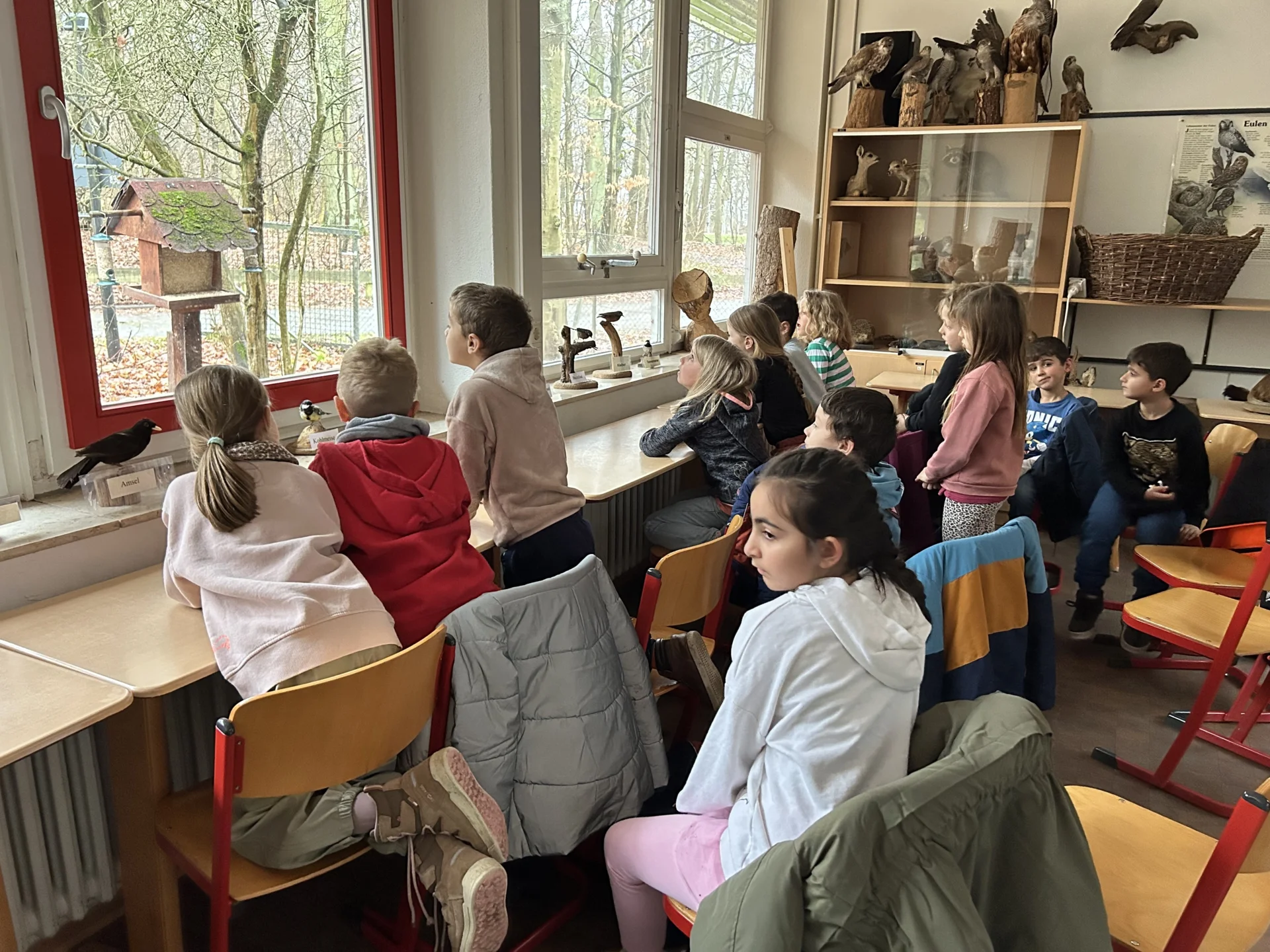 Bild der Galerie