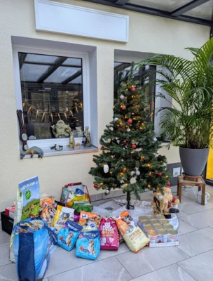 Foto des Albums: Tierweihnacht der Löhmer Kinder