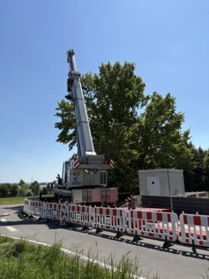 Foto des Albums: Tauraer Jahresrückblick 2025