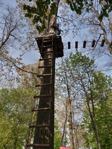 Bild: Tarzan ist wieder da!