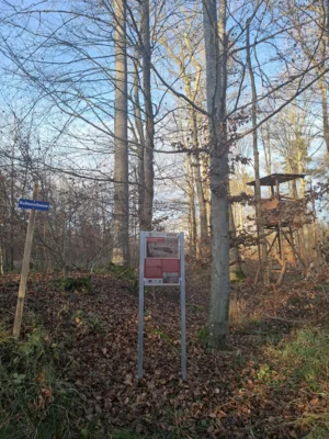 Foto des Albums: Beschilderung Großrinderfeld