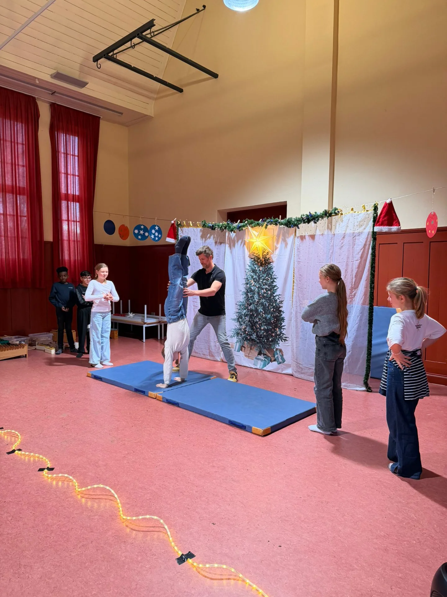Bild der Galerie