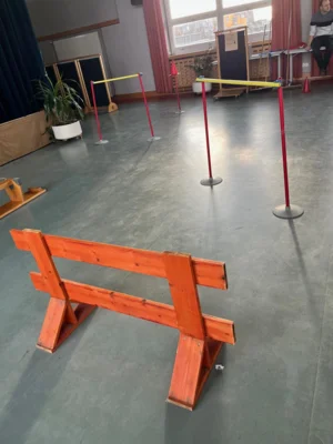 Foto des Albums: Magisches Lernen in Jahrgangsstufe 8