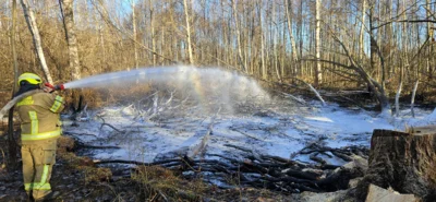 Foto des Albums: B1: Brand im Unterholz Lobstädt
