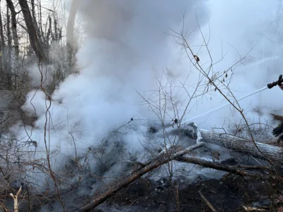 Foto des Albums: B1: Brand im Unterholz Lobstädt