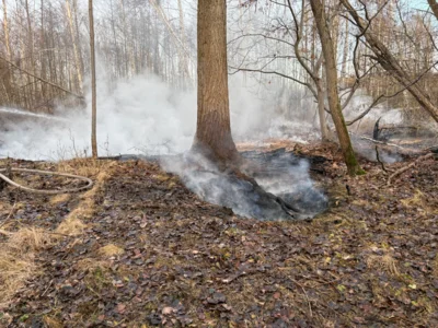 Foto des Albums: B1: Brand im Unterholz Lobstädt