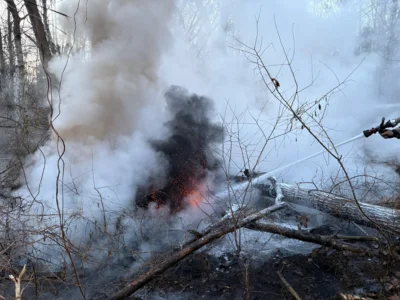 Foto des Albums: B1: Brand im Unterholz Lobstädt
